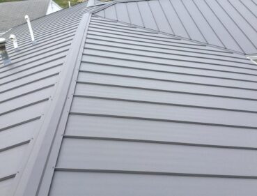 Image 1c