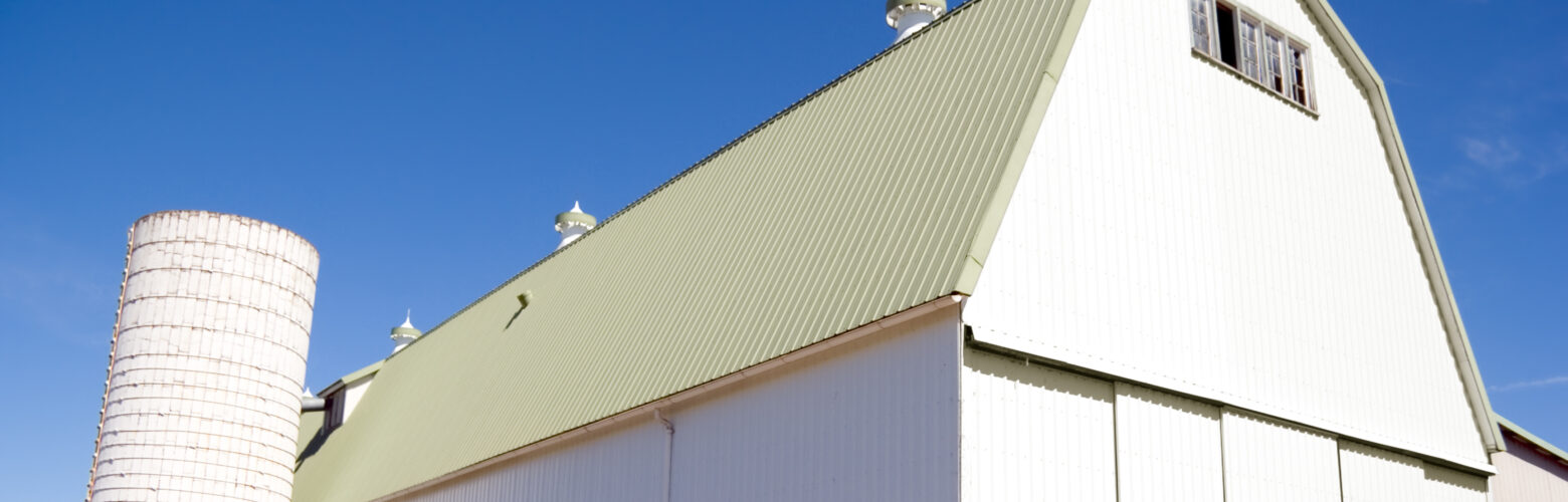 Pro-Rib Metal Roofing
